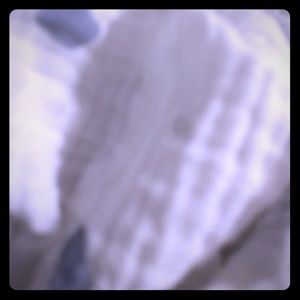 Meet your Posher, Chaya